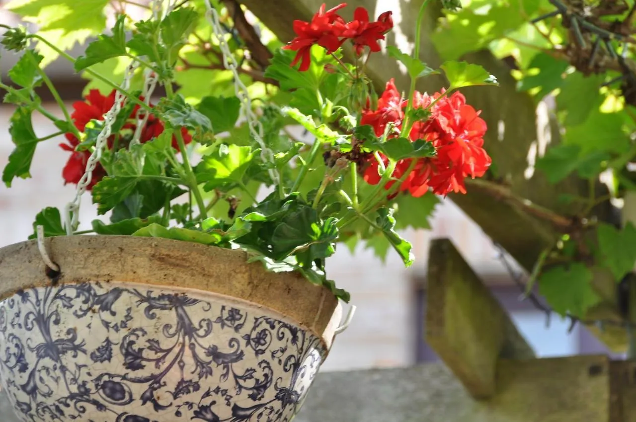 Couette-café B&B Bella En Basiel Bruges